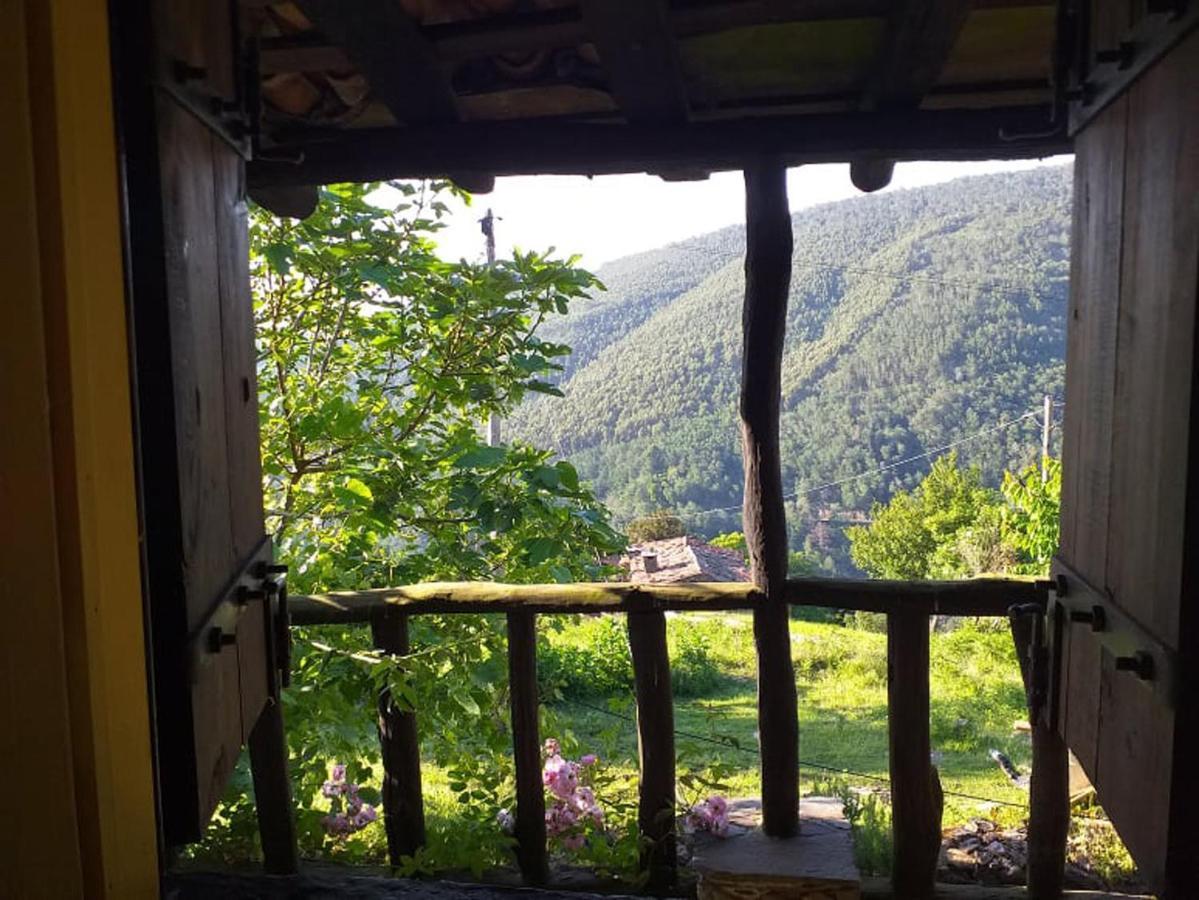 Casa Dos Livros Villa Talasnal Bagian luar foto