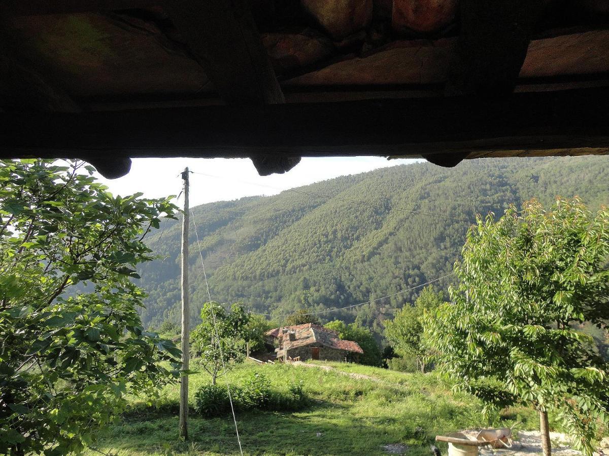 Casa Dos Livros Villa Talasnal Bagian luar foto