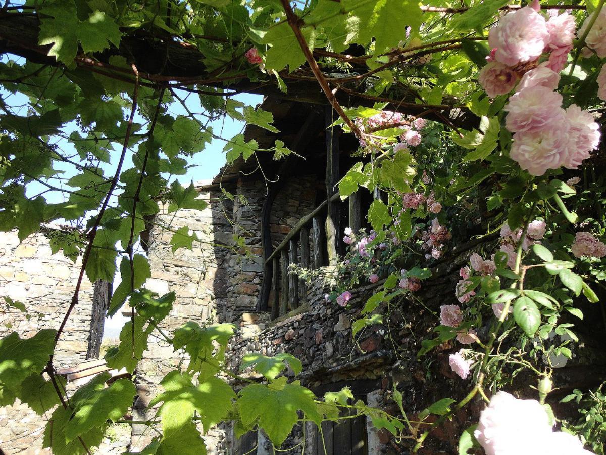 Casa Dos Livros Villa Talasnal Bagian luar foto